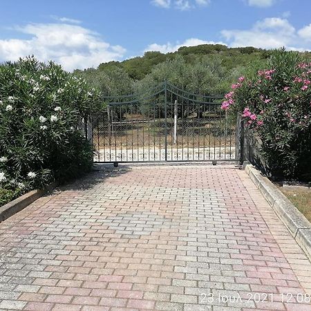 Elena'S Green House Nea Iraklitsa Εξωτερικό φωτογραφία