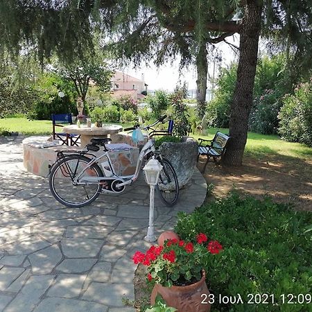 Elena'S Green House Nea Iraklitsa Εξωτερικό φωτογραφία