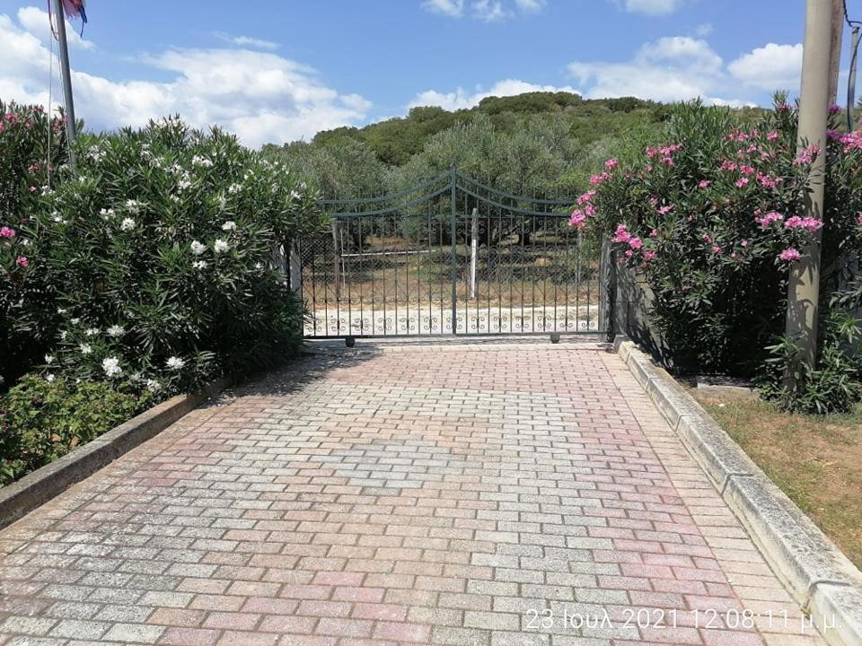 Elena'S Green House Nea Iraklitsa Εξωτερικό φωτογραφία