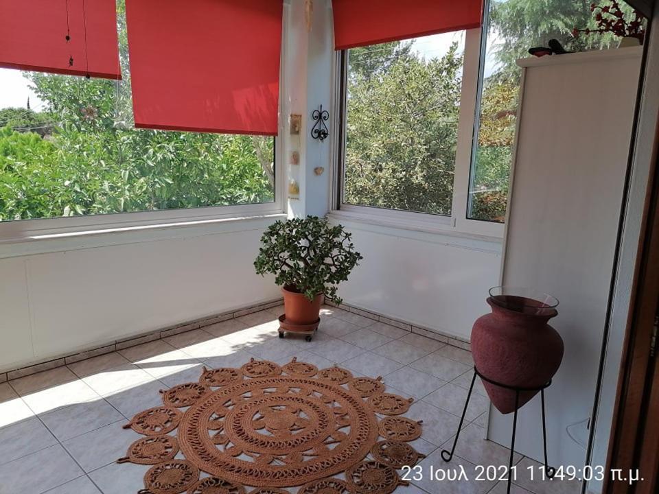 Elena'S Green House Nea Iraklitsa Εξωτερικό φωτογραφία