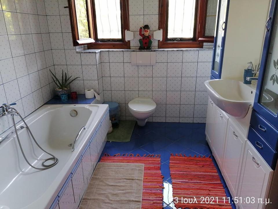 Elena'S Green House Nea Iraklitsa Εξωτερικό φωτογραφία