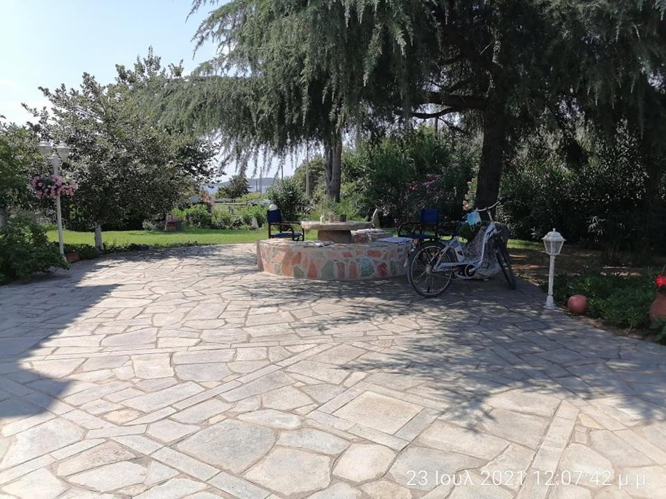 Elena'S Green House Nea Iraklitsa Εξωτερικό φωτογραφία