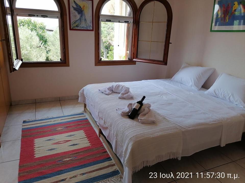Elena'S Green House Nea Iraklitsa Εξωτερικό φωτογραφία