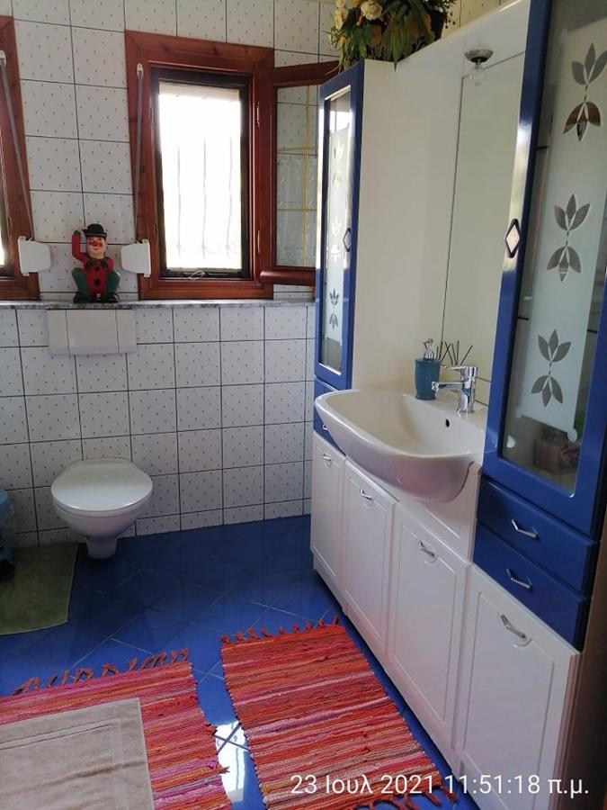 Elena'S Green House Nea Iraklitsa Εξωτερικό φωτογραφία