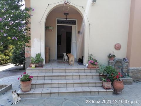 Elena'S Green House Nea Iraklitsa Εξωτερικό φωτογραφία