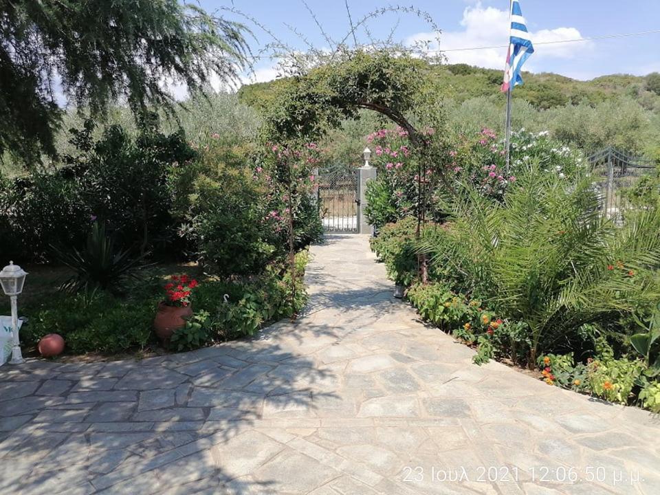 Elena'S Green House Nea Iraklitsa Εξωτερικό φωτογραφία