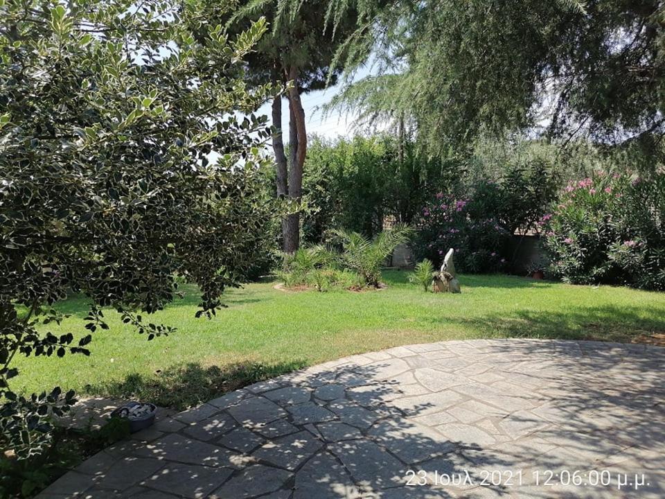 Elena'S Green House Nea Iraklitsa Εξωτερικό φωτογραφία